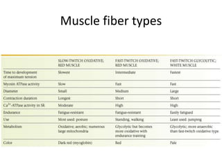 Muscle fiber types
 