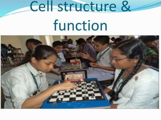 Cell structure &
function
 