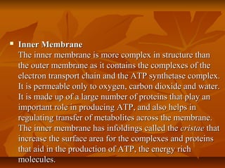  Inner MembraneInner Membrane
The inner membrane is more complex in structure thanThe inner membrane is more complex in structure than
the outer membrane as it contains the complexes of thethe outer membrane as it contains the complexes of the
electron transport chain and the ATP synthetase complex.electron transport chain and the ATP synthetase complex.
It is permeable only to oxygen, carbon dioxide and water.It is permeable only to oxygen, carbon dioxide and water.
It is made up of a large number of proteins that play anIt is made up of a large number of proteins that play an
important role in producing ATP, and also helps inimportant role in producing ATP, and also helps in
regulating transfer of metabolites across the membrane.regulating transfer of metabolites across the membrane.
The inner membrane has infoldings called theThe inner membrane has infoldings called the cristaecristae thatthat
increase the surface area for the complexes and proteinsincrease the surface area for the complexes and proteins
that aid in the production of ATP, the energy richthat aid in the production of ATP, the energy rich
molecules.molecules.
 