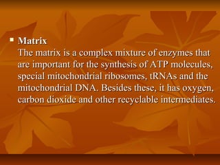  MatrixMatrix
The matrix is a complex mixture of enzymes thatThe matrix is a complex mixture of enzymes that
are important for the synthesis of ATP molecules,are important for the synthesis of ATP molecules,
special mitochondrial ribosomes, tRNAs and thespecial mitochondrial ribosomes, tRNAs and the
mitochondrial DNA. Besides these, it has oxygen,mitochondrial DNA. Besides these, it has oxygen,
carbon dioxide and other recyclable intermediates.carbon dioxide and other recyclable intermediates.
 