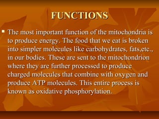 FUNCTIONSFUNCTIONS
 The most important function of the mitochondria isThe most important function of the mitochondria is
to produce energy. The food that we eat is brokento produce energy. The food that we eat is broken
into simpler molecules like carbohydrates, fats,etc.,into simpler molecules like carbohydrates, fats,etc.,
in our bodies. These are sent to the mitochondrionin our bodies. These are sent to the mitochondrion
where they are further processed to producewhere they are further processed to produce
charged molecules that combine with oxygen andcharged molecules that combine with oxygen and
produce ATP molecules. This entire process isproduce ATP molecules. This entire process is
known as oxidative phosphorylation.known as oxidative phosphorylation.
 