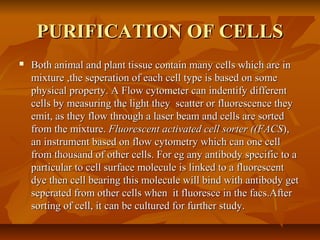 PURIFICATION OF CELLSPURIFICATION OF CELLS
 Both animal and plant tissue contain many cells which are inBoth animal and plant tissue contain many cells which are in
mixture ,the seperation of each cell type is based on somemixture ,the seperation of each cell type is based on some
physical property. A Flow cytometer can indentify differentphysical property. A Flow cytometer can indentify different
cells by measuring the light they scatter or fluorescence theycells by measuring the light they scatter or fluorescence they
emit, as they flow through a laser beam and cells are sortedemit, as they flow through a laser beam and cells are sorted
from the mixture.from the mixture. Fluorescent activated cell sorter ((FACSFluorescent activated cell sorter ((FACS),),
an instrument based on flow cytometry which can one cellan instrument based on flow cytometry which can one cell
from thousand of other cells. For eg any antibody specific to afrom thousand of other cells. For eg any antibody specific to a
particular to cell surface molecule is linked to a fluorescentparticular to cell surface molecule is linked to a fluorescent
dye then cell bearing this molecule will bind with antibody getdye then cell bearing this molecule will bind with antibody get
seperated from other cells when it fluoresce in the facs.Afterseperated from other cells when it fluoresce in the facs.After
sorting of cell, it can be cultured for further study.sorting of cell, it can be cultured for further study.
 
