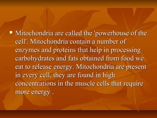  Mitochondria are called the 'powerhouse of theMitochondria are called the 'powerhouse of the
cell'. Mitochondria contain a number ofcell'. Mitochondria contain a number of
enzymes and proteins that help in processingenzymes and proteins that help in processing
carbohydrates and fats obtained from food wecarbohydrates and fats obtained from food we
eat to release energy. Mitochondria are presenteat to release energy. Mitochondria are present
in every cell, they are found in highin every cell, they are found in high
concentrations in the muscle cells that requireconcentrations in the muscle cells that require
more energy .more energy .
 