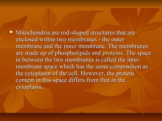  Mitochondria are rod-shaped structures that areMitochondria are rod-shaped structures that are
enclosed within two membranes - the outerenclosed within two membranes - the outer
membrane and the inner membrane. The membranesmembrane and the inner membrane. The membranes
are made up of phospholipids andare made up of phospholipids and proteinsproteins. The space. The space
in between the two membranes is called the inter-in between the two membranes is called the inter-
membrane space which has the same composition asmembrane space which has the same composition as
the cytoplasm of the cell. However, the proteinthe cytoplasm of the cell. However, the protein
content in this space differs from that in thecontent in this space differs from that in the
cytoplasm.cytoplasm.
 