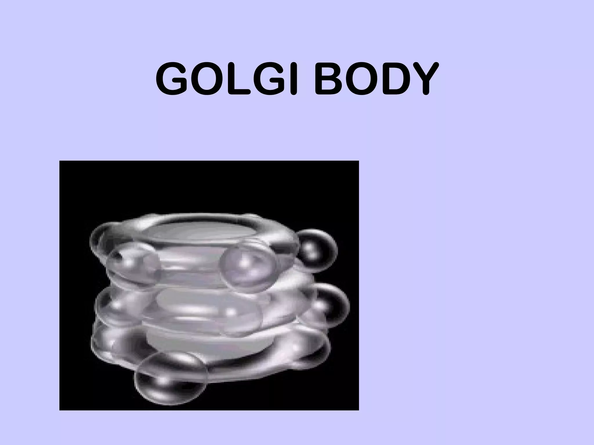 GOLGI BODY
 