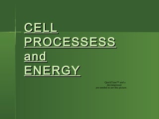 CELLCELL
PROCESSESSPROCESSESS
andand
ENERGYENERGY
QuickTime™ and a
decompressor
are needed to see this picture.
 