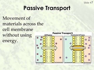 Passive Transport
Movement of
materials across the
cell membrane
without using
energy.
Slide #7
 