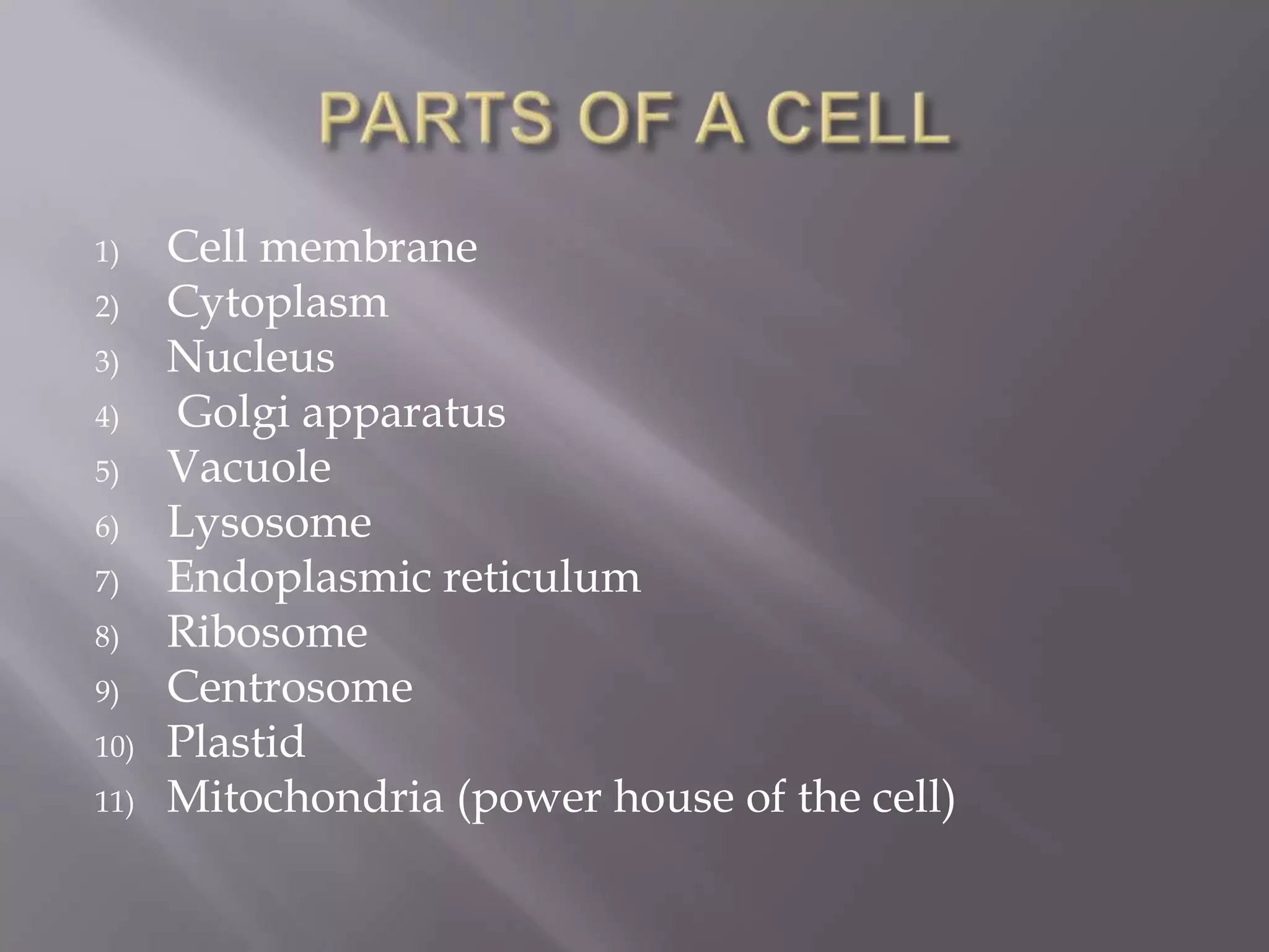 1)    Cell membrane
2)    Cytoplasm
3)    Nucleus
4)    Golgi apparatus
5)    Vacuole
6)    Lysosome
7)    Endoplasmic reticulum
8)    Ribosome
9)    Centrosome
10)   Plastid
11)   Mitochondria (power house of the cell)
 