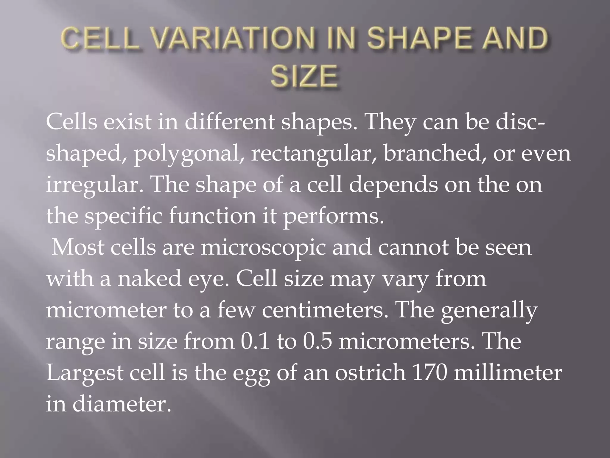 Cells exist in different shapes. They can be disc-
shaped, polygonal, rectangular, branched, or even
irregular. The shape of a cell depends on the on
the specific function it performs.
 Most cells are microscopic and cannot be seen
with a naked eye. Cell size may vary from
micrometer to a few centimeters. The generally
range in size from 0.1 to 0.5 micrometers. The
Largest cell is the egg of an ostrich 170 millimeter
in diameter.
 
