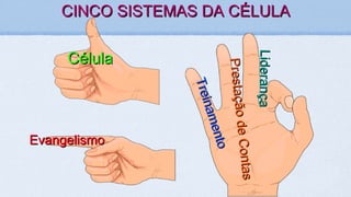 CINCO SISTEMAS DA CÉLULACINCO SISTEMAS DA CÉLULA
CélulaCélula
EvangelismoEvangelismo
Treinamento
Treinamento
PrestaçãodeContas
PrestaçãodeContas
LiderançaLiderança
 
