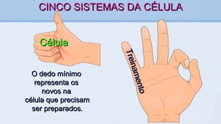 CINCO SISTEMAS DA CÉLULACINCO SISTEMAS DA CÉLULA
CélulaCélula
Treinamento
Treinamento
O dedo mínimoO dedo mínimo
representa osrepresenta os
novos nanovos na
célula que precisamcélula que precisam
ser preparados.ser preparados.
 