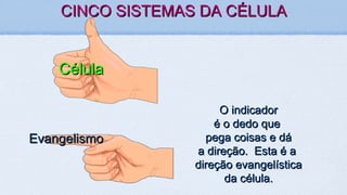 CINCO SISTEMAS DA CÉLULACINCO SISTEMAS DA CÉLULA
CélulaCélula
EvangelismoEvangelismo
O indicadorO indicador
é o dedo queé o dedo que
pega coisas e dápega coisas e dá
a direção. Esta é aa direção. Esta é a
direção evangelísticadireção evangelística
da célula.da célula.
 