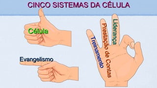 CINCO SISTEMAS DA CÉLULACINCO SISTEMAS DA CÉLULA
CélulaCélula
EvangelismoEvangelismo
Treinamento
TreinamentoPrestaçãodeContas
PrestaçãodeContas
LiderançaLiderança
 