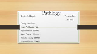 Pathlogy
Topic: Cell Repair Presented to:
Sir Bilal
Group members:
Shafa Ashfaq 224422
Ayesha Imran 224442
Yasra Azam 224444
Maliaka Shafiq 224425
Hamza Iftikhar 224430
 