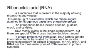Ribonucleic acid (RNA)
is a molecule that is present in the majority of living
organisms and viruses.
It is made up of nucleotides, which are ribose sugars
attached to nitrogenous bases and phosphate groups.
The nitrogenous bases include adenine, guanine,
uracil, and cytosine.
RNA mostly exists in the single-stranded form, but
there are special RNA viruses that are double-stranded.
To create proteins via translation. RNA carries genetic
information that is translated by ribosomes into various
proteins necessary for cellular processes. mRNA, rRNA, and
tRNA are the three main types of RNA involved in protein
synthesis.
 