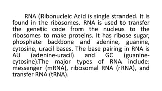 RNA (Ribonucleic Acid is single stranded. It is
found in the ribosomes. RNA is used to transfer
the genetic code from the nucleus to the
ribosomes to make proteins. It has ribose sugar,
phosphate backbone and adenine, guanine,
cytosine, uracil bases. The base pairing in RNA is
AU (adenine-uracil) and GC (guanine-
cytosine).The major types of RNA include:
messenger (mRNA), ribosomal RNA (rRNA), and
transfer RNA (tRNA).
 