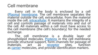 Cell membrane
Every cell in the body is enclosed by a cell
(Plasma) membrane. The cell membrane separates the
material outside the cell, extracellular, from the material
inside the cell, intracellular. It maintains the integrity of a
cell and controls passage of materials into and out of
the cell. All materials within a cell must have access to
the cell membrane (the cell's boundary) for the needed
exchange.
The cell membrane is a double layer of
phospholipid molecules. Proteins in the cell membrane
provide structural support, form channels for passage of
materials, act as receptor sites, function
as carrier molecules, and provide identification markers.
 