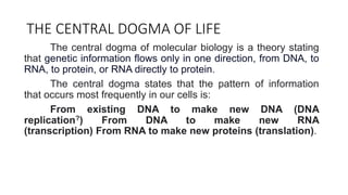 THE CENTRAL DOGMA OF LIFE
The central dogma of molecular biology is a theory stating
that genetic information flows only in one direction, from DNA, to
RNA, to protein, or RNA directly to protein.
The central dogma states that the pattern of information
that occurs most frequently in our cells is:
From existing DNA to make new DNA (DNA
replication?) From DNA to make new RNA
(transcription) From RNA to make new proteins (translation).
 