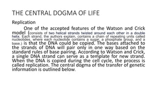 THE CENTRAL DOGMA OF LIFE
Replication
One of the accepted features of the Watson and Crick
model (consists of two helical strands twisted around each other in a double
helix. Each strand, the authors explain, contains a chain of repeating units called
nucleotides, where each nucleotide contains a sugar, a phosphate group, and a
base.) is that the DNA could be copied. The bases attached to
the strands of DNA will pair only in one way based on the
standard rules of base pairing. According to Watson and Crick,
a single DNA strand can serve as a template for new strand.
When the DNA is copied during the cell cycle, the process is
called replication. The central dogma of the transfer of genetic
information is outlined below.
 