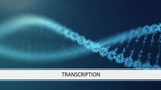 TRANSCRIPTION
 