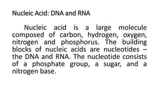Nucleic Acid: DNA and RNA
Nucleic acid is a large molecule
composed of carbon, hydrogen, oxygen,
nitrogen and phosphorus. The building
blocks of nucleic acids are nucleotides –
the DNA and RNA. The nucleotide consists
of a phosphate group, a sugar, and a
nitrogen base.
 