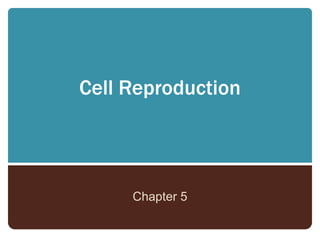 Cell Reproduction



     Chapter 5
 