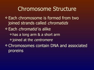 Chromosome Structure Each chromosome is formed from two joined strands called  chromatids Each  chromatid  is alike has a long arm & a short arm joined at the  centromere Chromosomes contain DNA and associated proreins 