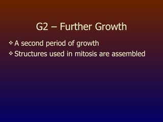 G2 – Further Growth A second period of growth Structures used in mitosis are assembled 
