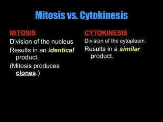 Mitosis vs. Cytokinesis MITOSIS Division of the nucleus Results in an  identical  product. (Mitosis produces  clones .) CYTOKINESIS Division of the cytoplasm. Results in a  similar  product. 