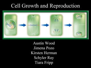 Cell Growth and Reproduction Austin Wood Jimena Pozo Kirsten Herman Schyler Ray Tiara Fripp 