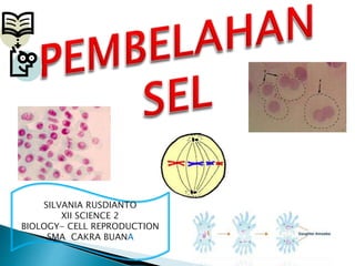 SILVANIA RUSDIANTO
XII SCIENCE 2
BIOLOGY- CELL REPRODUCTION
SMA CAKRA BUANA
 