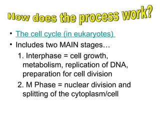 Comprehensive Overview of the Cell Cycle and Mitosis Process | PPT