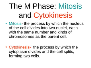 The M Phase: Mitosis
and Cytokinesis
• Mitosis- the process by which the nucleus
of the cell divides into two nuclei, each
with the same number and kinds of
chromosomes as the parent cell.
• Cytokinesis- the process by which the
cytoplasm divides and the cell splits,
forming two cells.
 