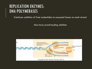 Grade 7 Cell Reproduction mitosis meiosis.ppt