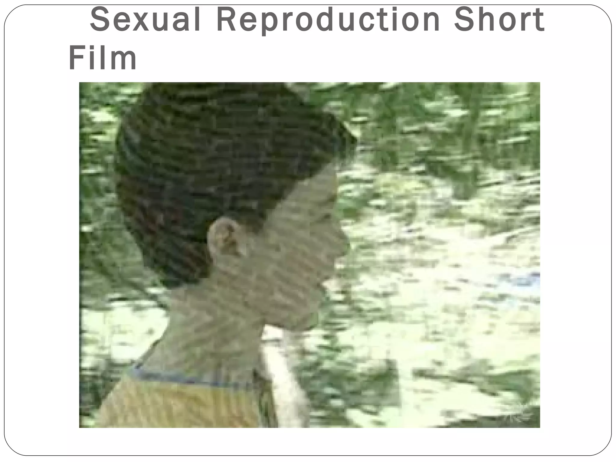 Sexual Reproduction Short Film 