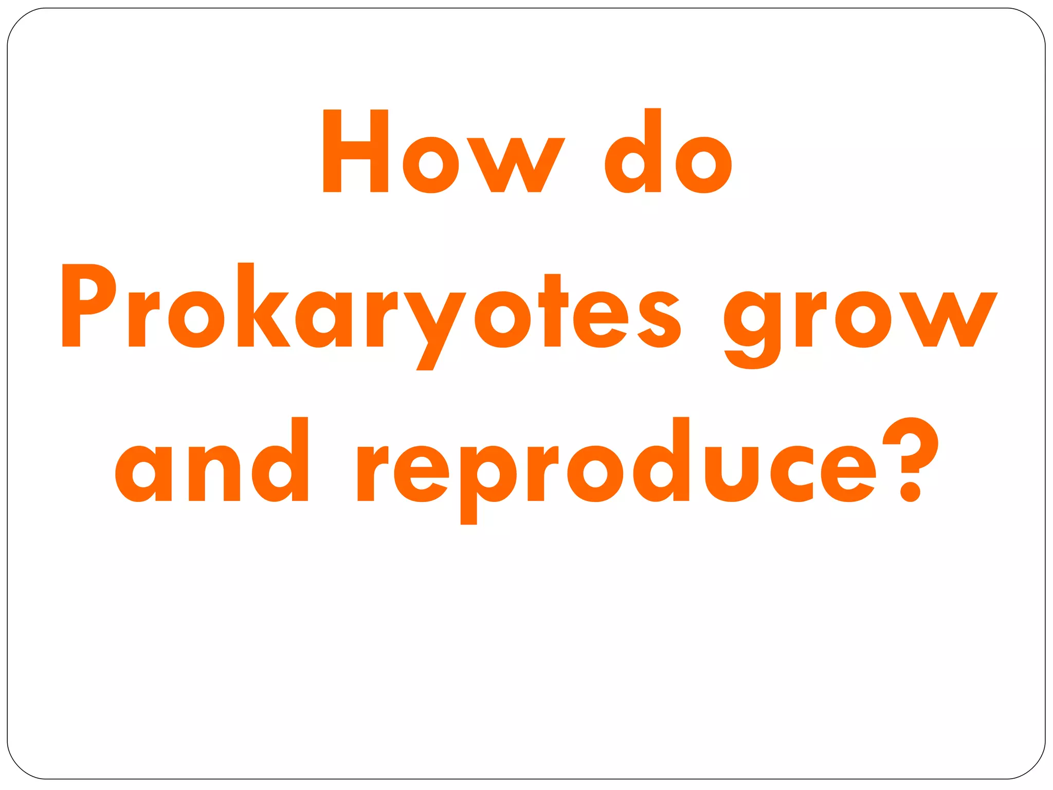 How   do Prokaryotes grow and reproduce? 
