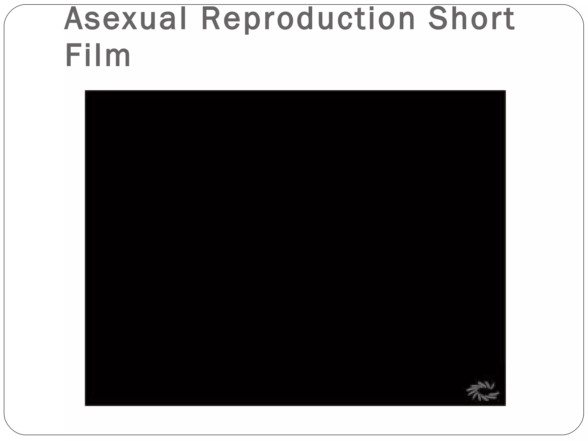 Asexual Reproduction Short Film 