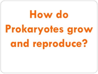How   do Prokaryotes grow and reproduce? 