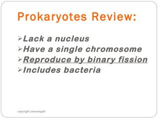 Prokaryotes Review: Lack a nucleus  Have a single chromosome Reproduce by binary fission Includes bacteria copyright cmassengale 