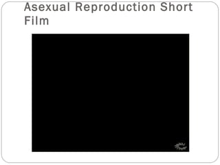Asexual Reproduction Short Film 