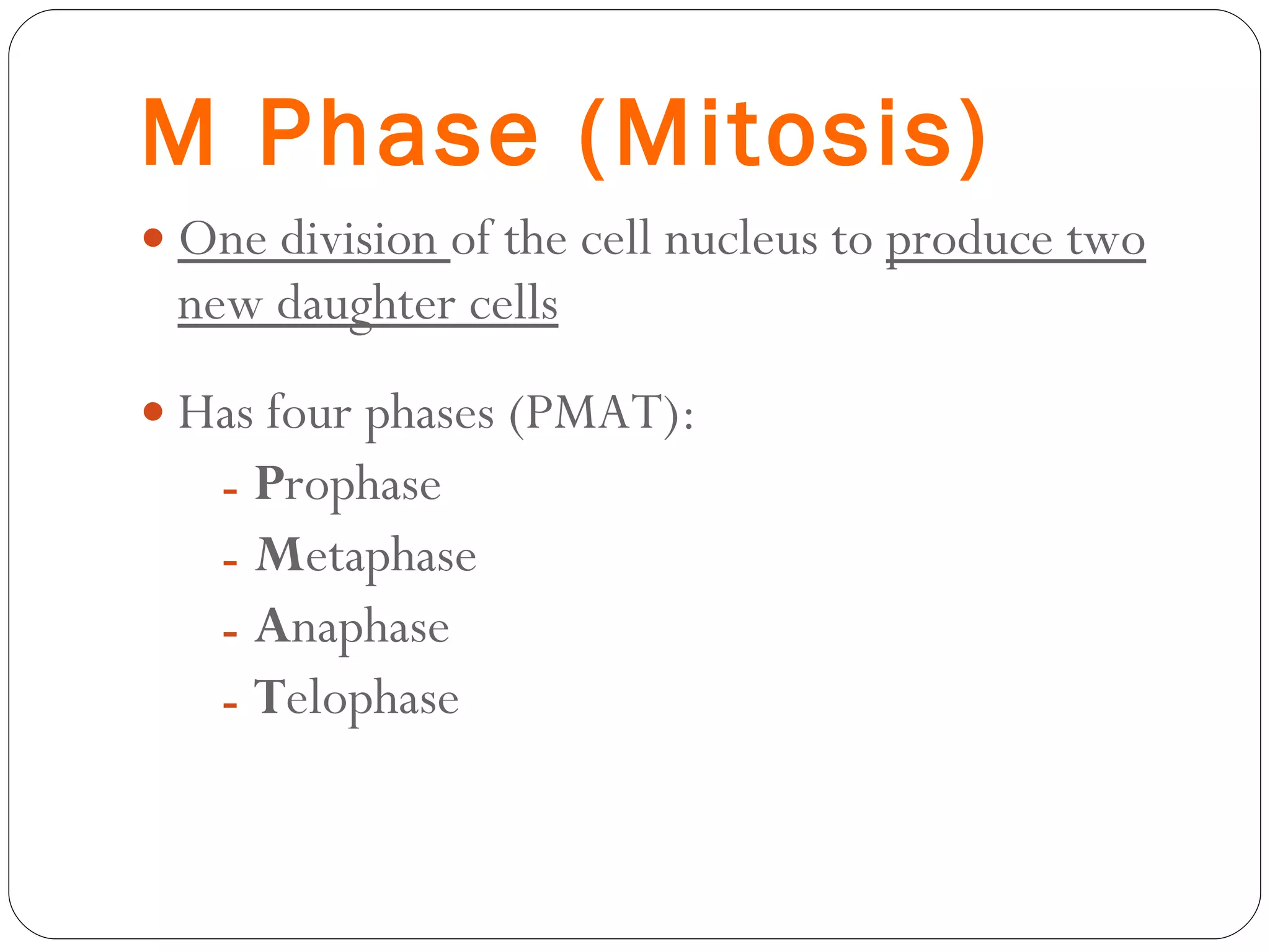 M Phase (Mitosis) One division  of the cell nucleus to  produce two new daughter cells Has four phases (PMAT): P rophase M etaphase A naphase T elophase 
