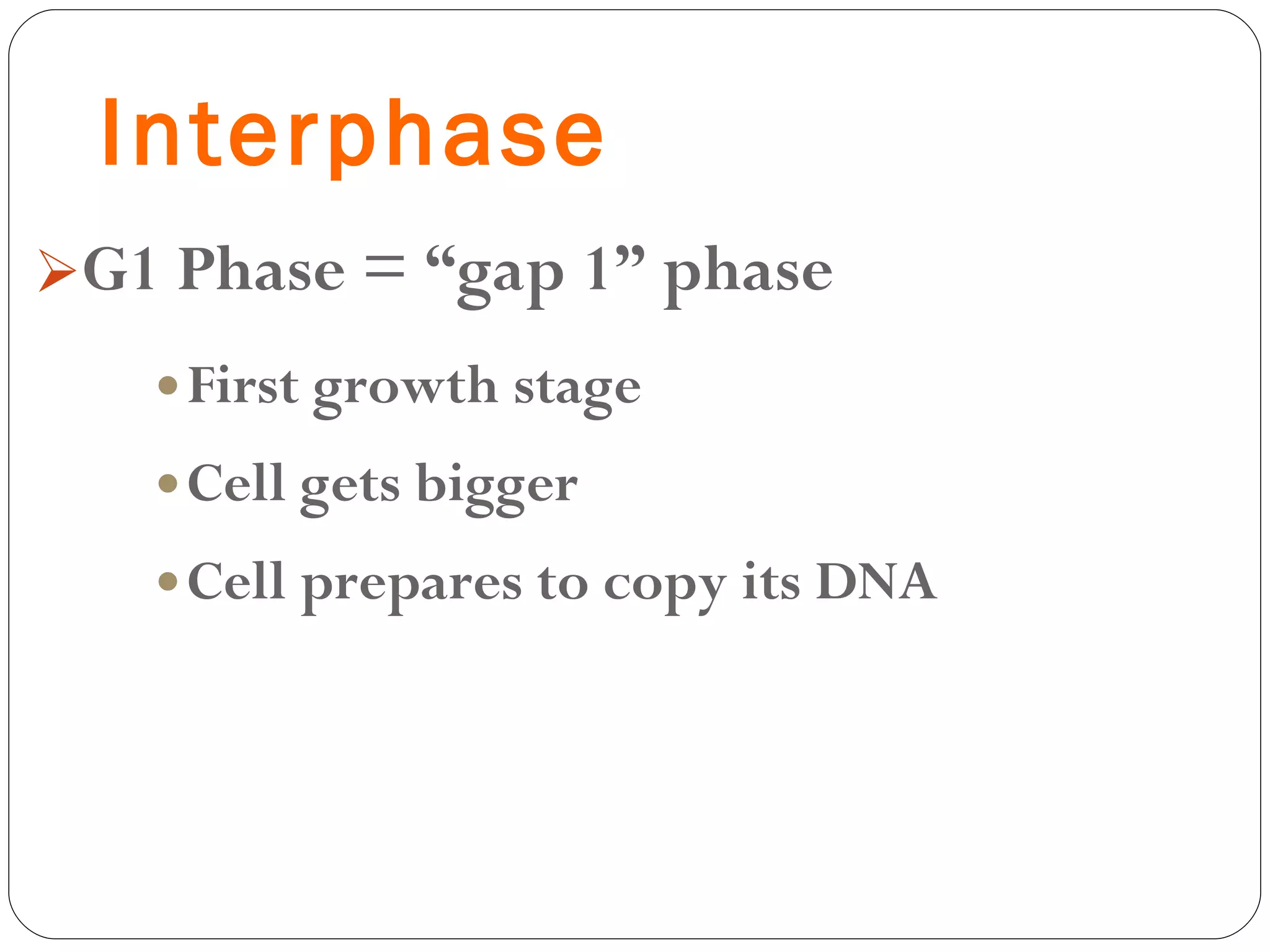 Interphase G1 Phase = “gap 1” phase First growth stage Cell gets bigger Cell prepares to copy its DNA 