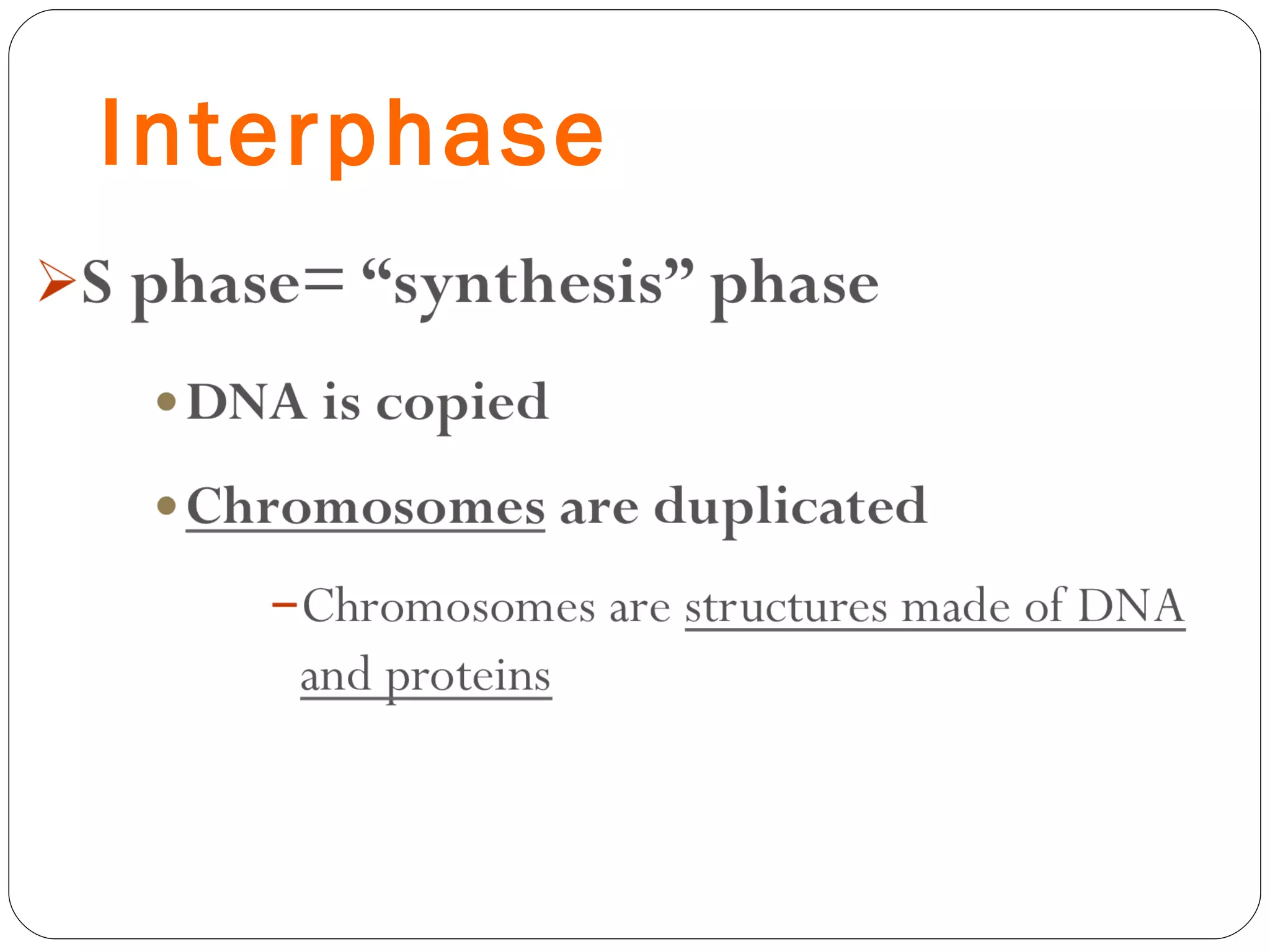 Interphase 
