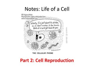 Notes: Life of a Cell




Part 2: Cell Reproduction
 