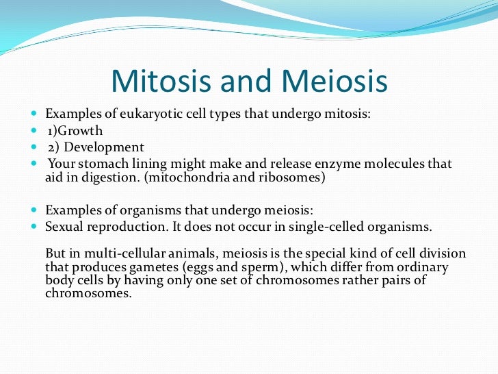 What cells undergo meiosis?