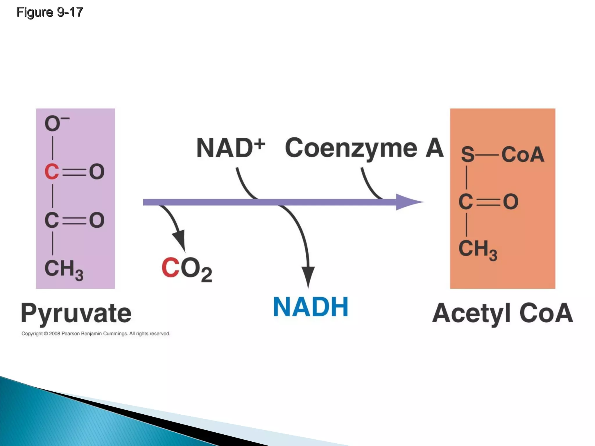 Figure 9-17Figure 9-17
 