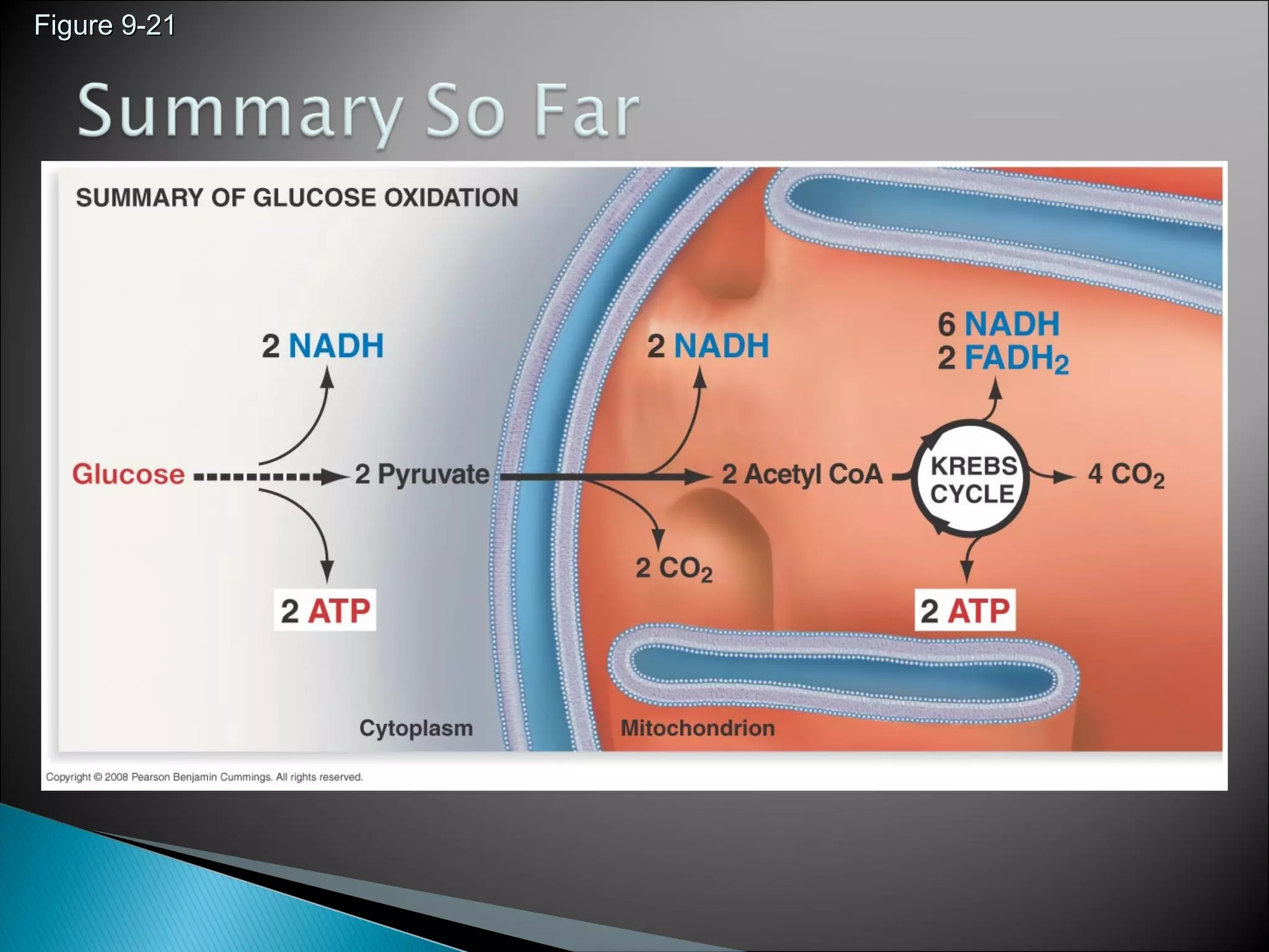 Figure 9-21Figure 9-21
 