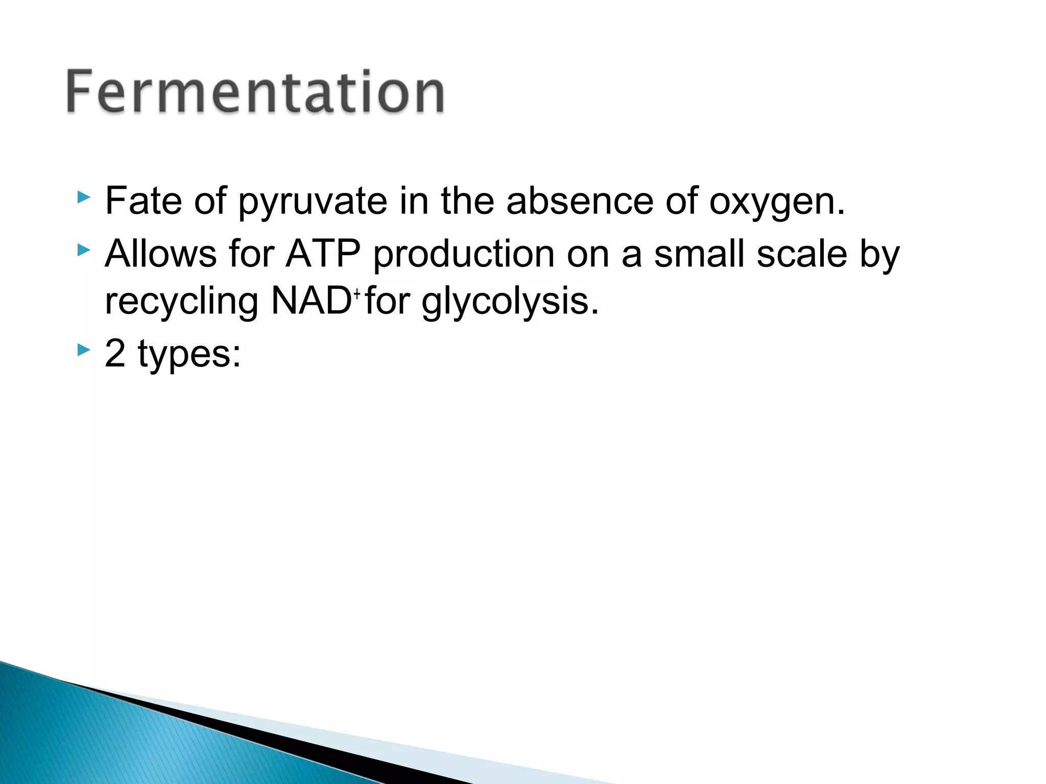  Fate of pyruvate in the absence of oxygen.
 Allows for ATP production on a small scale by
recycling NAD+
for glycolysis.
 2 types:
 