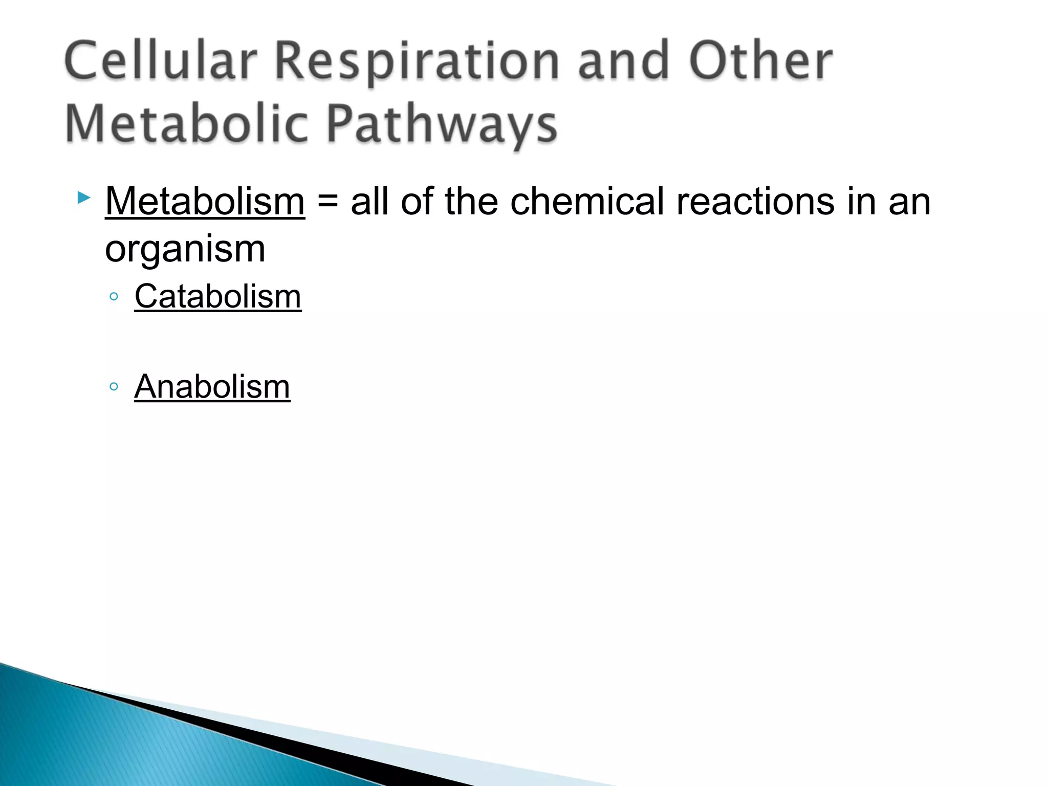  Metabolism = all of the chemical reactions in an
organism
◦ Catabolism
◦ Anabolism
 