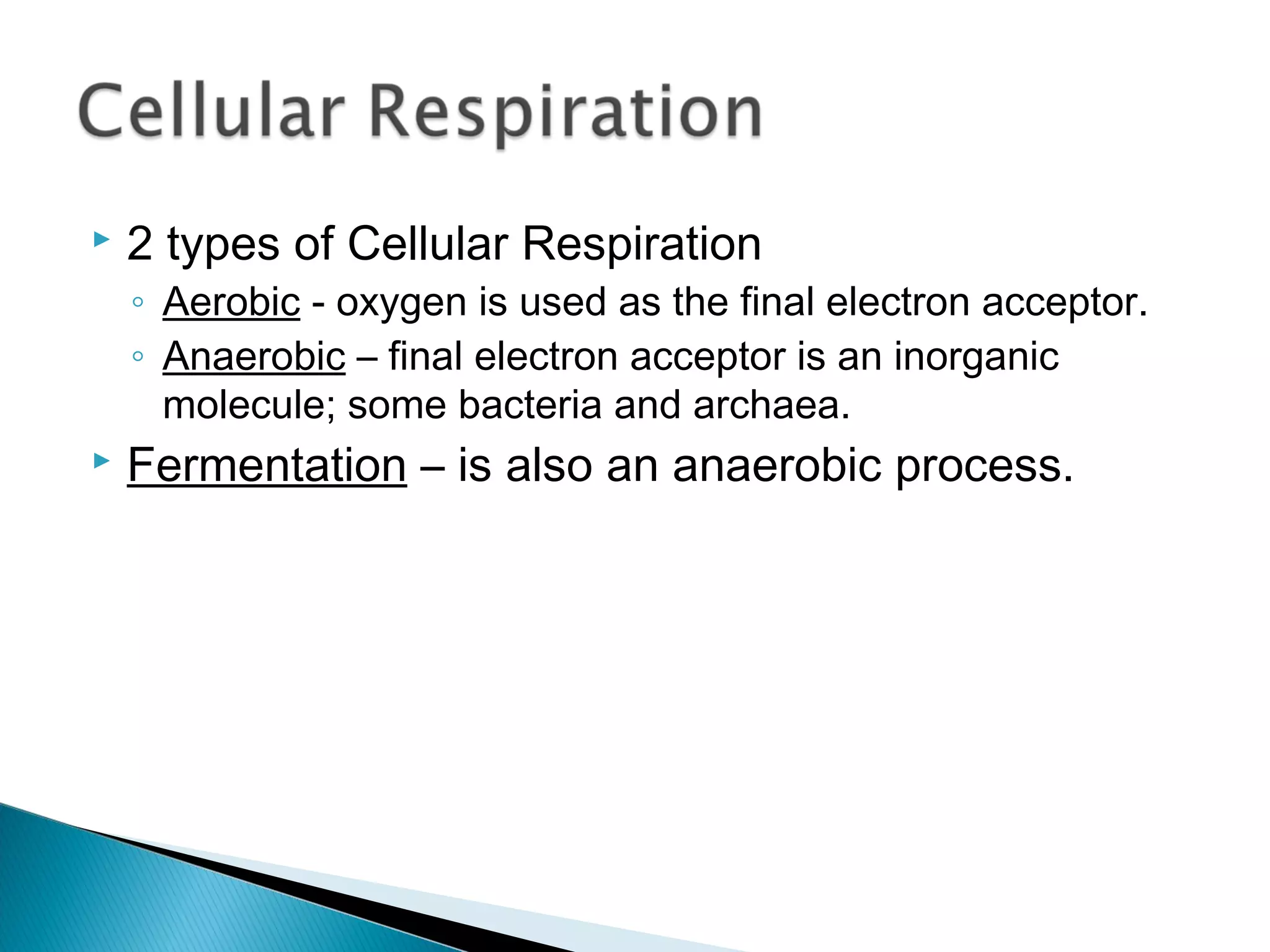  2 types of Cellular Respiration
◦ Aerobic - oxygen is used as the final electron acceptor.
◦ Anaerobic – final electron acceptor is an inorganic
molecule; some bacteria and archaea.
 Fermentation – is also an anaerobic process.
 